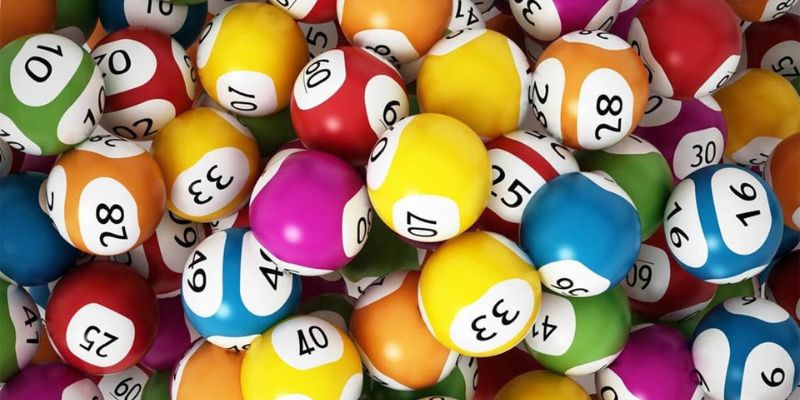 Không nuôi mãi 1 con Không nuôi mãi 1 con