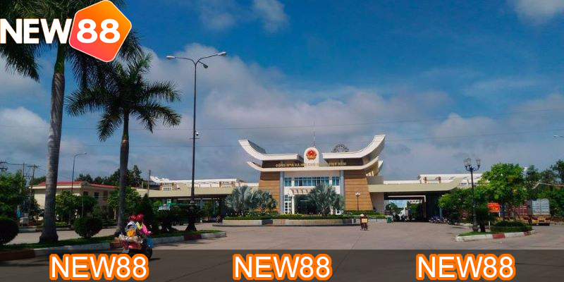 Mộc bài về đêm